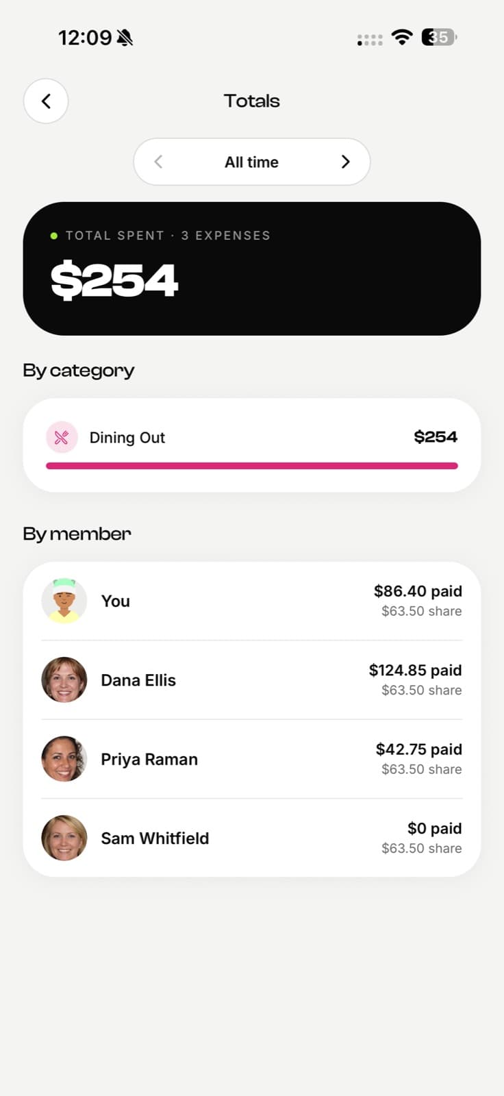 EconoGlance group totals showing spend by category and by member